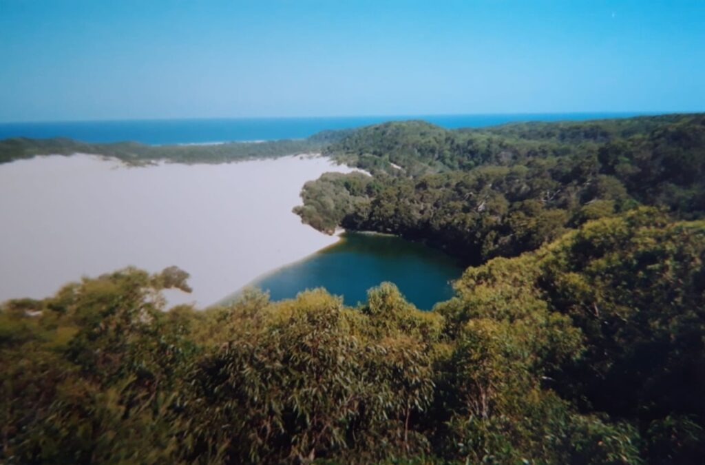 The lake and the catfish